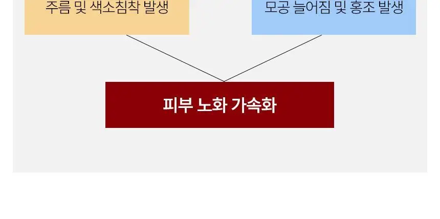 [광노화선케어] 샤이샤이샤이 인조이 더 선 유브이 프로텍션 크림 SPF50+ PA++++ 50ml 상세페이지 6